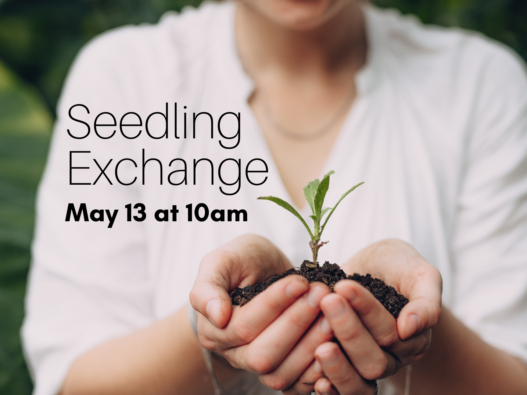 Seedling Exchange